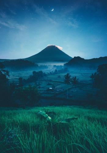 PAGE to Support Indonesia Low-Carbon Development Path