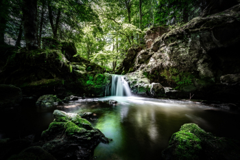 New Global Green Recovery Exchange: Platform for Redesign 2020